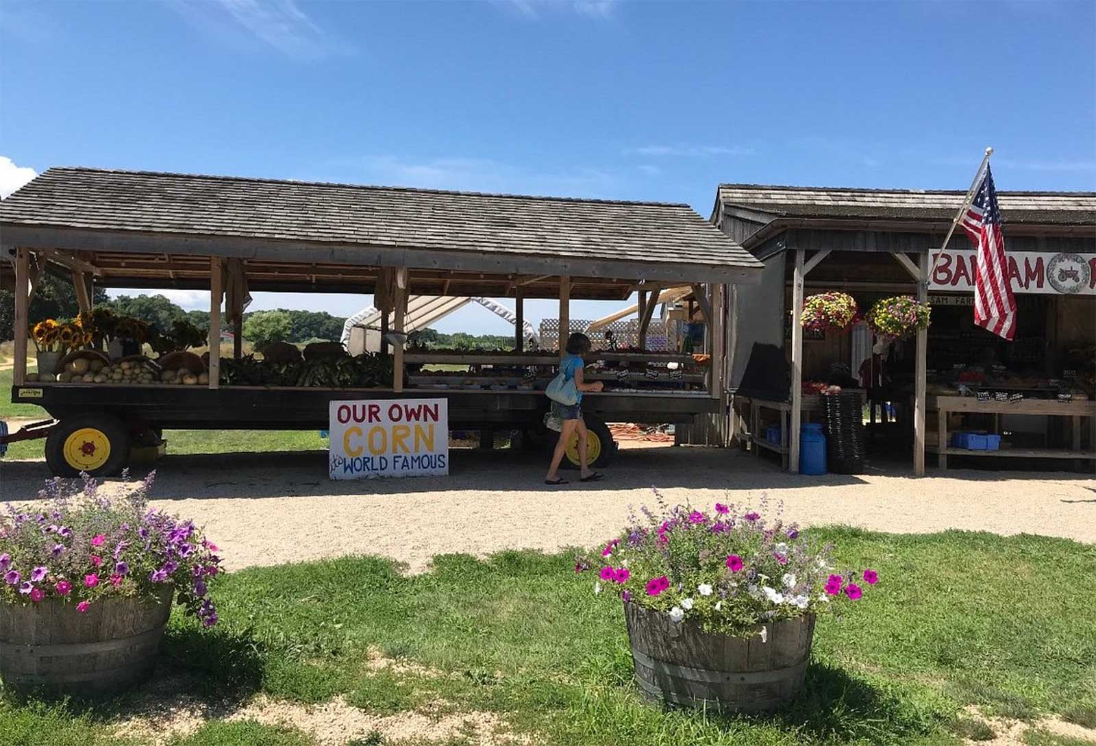 Farm Stands & Markets