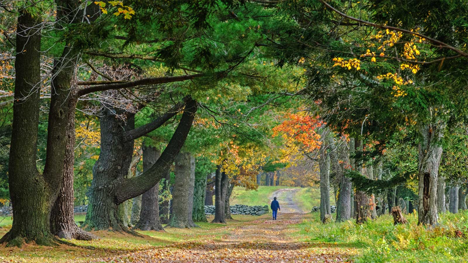 Exploring Litchfield Nature